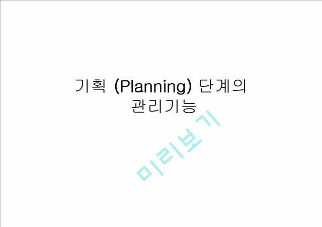기획 (Planning) 단계의 관리기능   (1 )